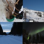 Lappland-Trip mit YFU